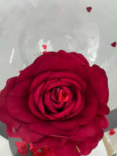 Load and play video in Gallery viewer, Valentines Rose Bubble
